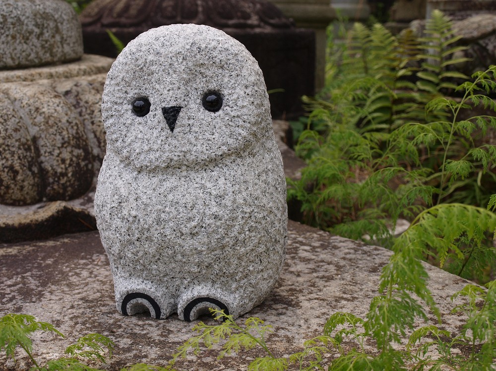 Owl (L)