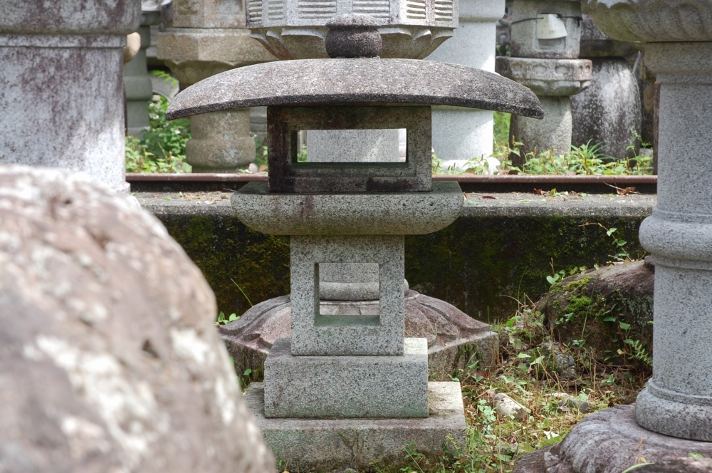 Kajuji