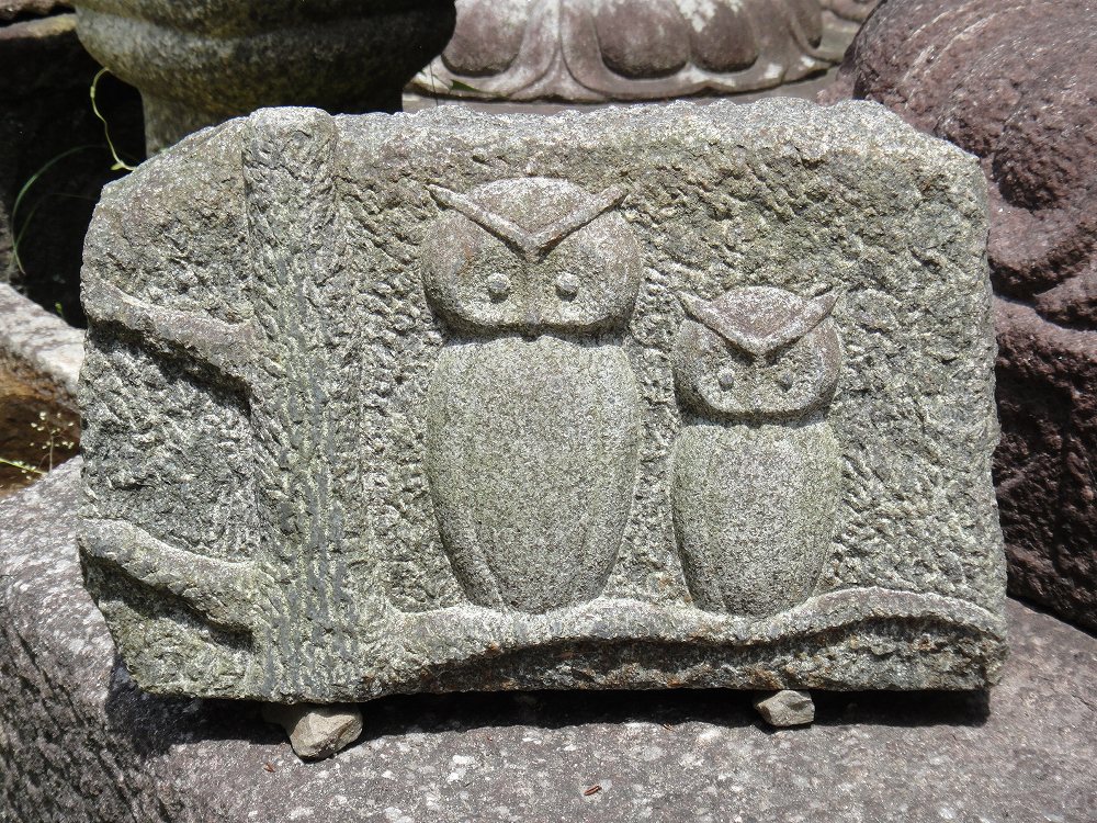 Owl relief