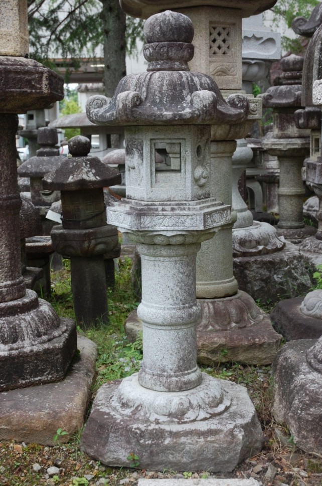 Kodai Kasuga