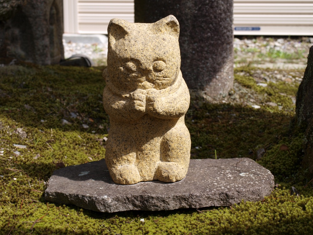 Ogami Cat